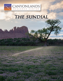 The Sundial Newsletter: Spring 2016