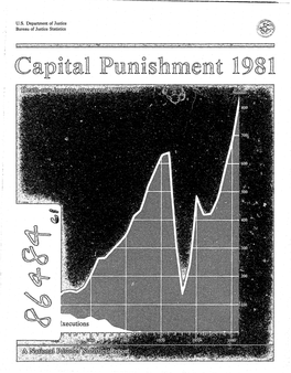 Capital Punishment 1981 (Final Report), Privacy and Security Box 1240, Ann Arbor, Mich.4B106, (313/764-5199)