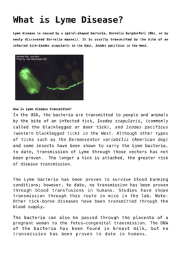 What Is Lyme Disease?