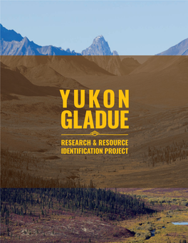 2015 Gladue Report