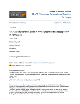 SP742 Camphor Shot Borer: a New Nursery and Landscape Pest in Tennessee