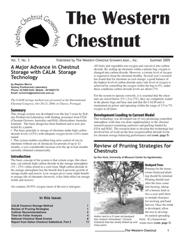 The Western Chestnut