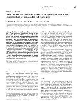 Intracrine Vascular Endothelial Growth Factor Signaling in Survival and Chemoresistance of Human Colorectal Cancer Cells