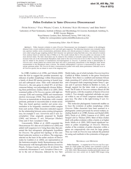 Pollen Evolution in Yams (Dioscorea: Dioscoreaceae)