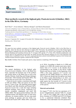 Most Northerly Record of the Bighead Goby Ponticola Kessleri (Günther, 1861) in the Elbe River, Germany