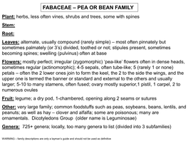 Fabaceae – Pea Or Bean Family