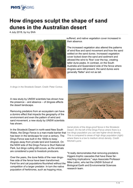 How Dingoes Sculpt the Shape of Sand Dunes in the Australian Desert 4 July 2018, by Ivy Shih