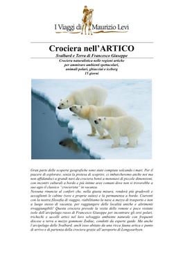 Crociera Nell'artico