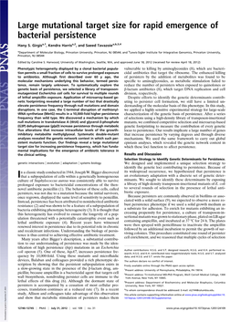 Large Mutational Target Size for Rapid Emergence of Bacterial Persistence