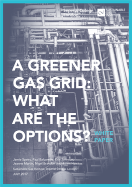 A Greener Gas Grid: What Are the Options? White