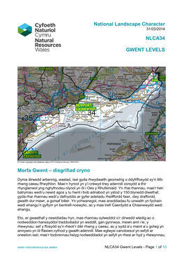 National Landscape Character NLCA34 GWENT LEVELS Morfa