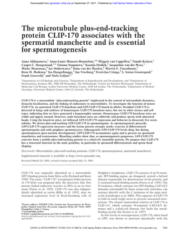 The Microtubule Plus-End-Tracking Protein CLIP-170 Associates with the Spermatid Manchette and Is Essential for Spermatogenesis