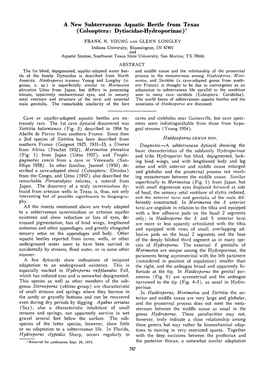 A New Subterranean Aquatic Beetle from Texas ( Coleoptera: Dytiscidae-Hydroporinae )X