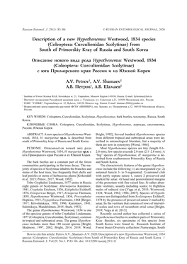 Description of a New Hypothenemus Westwood, 1834 Species (Coleoptera: Curculionidae: Scolytinae) from South of Primorskiy Kray of Russia and South Korea