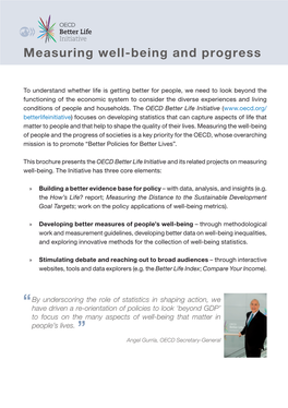 OECD Better Life Initiative