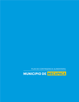 Municipio De Mecapaca