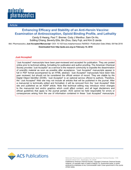 Enhancing Efficacy and Stability of an Anti-Heroin Vaccine: Examination of Antinociception, Opioid Binding Profile, and Lethality Candy S Hwang, Paul T