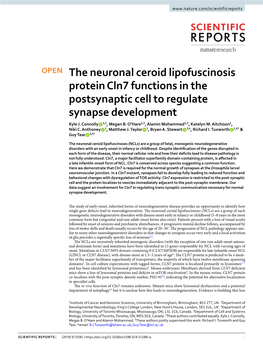 The Neuronal Ceroid Lipofuscinosis Protein Cln7 Functions in the Postsynaptic Cell to Regulate Synapse Development Kyle J