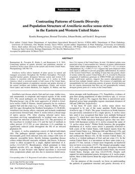 Contrasting Patterns of Genetic Diversity and Population Structure of Armillaria Mellea Sensu Stricto in the Eastern and Western United States