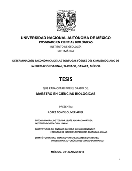 Universidad Nacional Autónoma De México Posgrado En Ciencias Biológicas Instituto De Geología Sistemática
