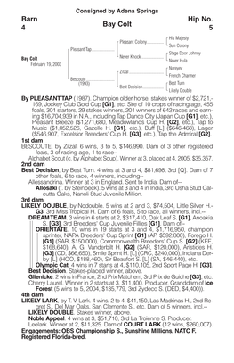 Bay Colt Barn 4 Hip No. 5