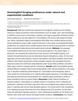 Hummingbird Foraging Preferences Under Natural and Experimental Conditions