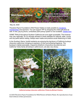 © 2020 Theodore Payne Foundation for Wild Flowers & Native Plants. No