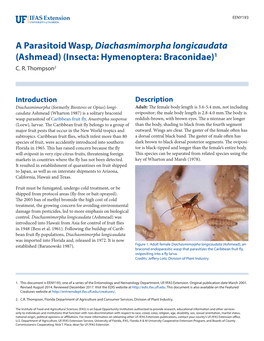 A Parasitoid Wasp, Diachasmimorpha Longicaudata (Ashmead) (Insecta: Hymenoptera: Braconidae)1 C