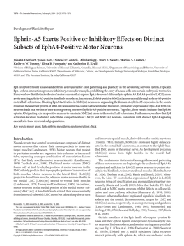 Ephrin-A5 Exerts Positive Or Inhibitory Effects on Distinct Subsets of Epha4-Positive Motor Neurons