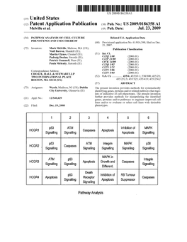 (12) Patent Application Publication (10) Pub. No.: US 2009/0186358 A1 Melville Et Al