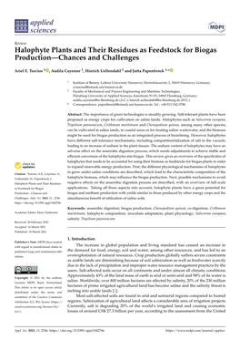 Halophyte Plants and Their Residues As Feedstock for Biogas Production—Chances and Challenges