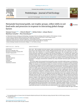 Nematode Functional Guilds, Not Trophic Groups, Reflect Shifts in Soil