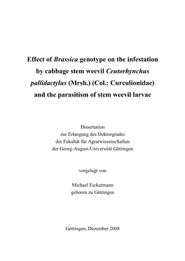 Effect of Brassica Genotype on the Infestation by Cabbage Stem Weevil
