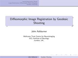 Diffeomorphic Image Registration by Geodesic Shooting