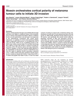 Moesin Orchestrates Cortical Polarity of Melanoma Tumour Cells to Initiate 3D Invasion