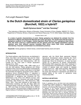 Is the Dutch Domesticated Strain of Clarias Gariepinus (Burchell, 1822) a Hybrid?