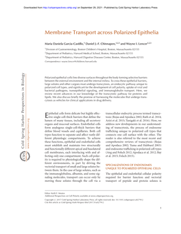 Membrane Transport Across Polarized Epithelia