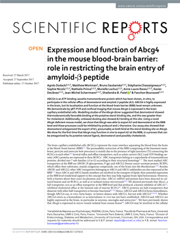 Role in Restricting the Brain Entry of Amyloid-Β Peptide
