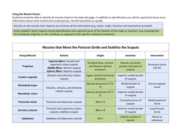 Muscle Charts: Students Should Be Able to Identify All Muscles Listed on the Daily Lab Pages