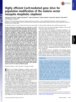 Highly Efficient Cas9-Mediated Gene Drive for Population Modification Of