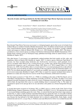 Records of Snake and Frog Predation by the Bare-Throated Tiger-Heron Tigrisoma Mexicanum (Ardeidae) in Costa Rica