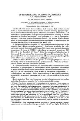 31, 5' CYCLOPHOSPHATE* Esterase.8 in Skeletal