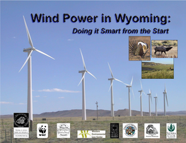 Wind Power in Wyoming: Doing It Smart from the Start
