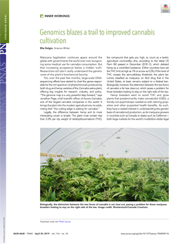 Genomics Blazes a Trail to Improved Cannabis Cultivation