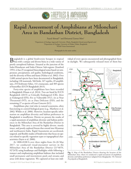 Cfreptiles & Amphibians