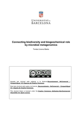 Connecting Biodiversity and Biogeochemical Role by Microbial