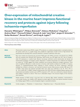 Over-Expression of Mitochondrial Creatine Kinase in the Murine Heart Improves Functional Recovery and Protects Against Injury Following Ischaemia–Reperfusion