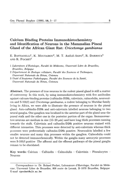 Calcium Binding Proteins Immunohistochemistry and Identification of Neurons in the Mammalian Pineal Gland of the African Giant Rat: Cricetomys Gambianus