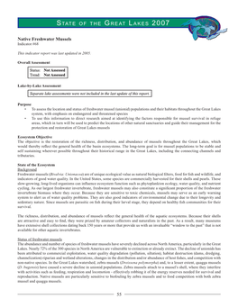 State of the Great Lakes Ecosystem 2007