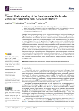 Current Understanding of the Involvement of the Insular Cortex in Neuropathic Pain: a Narrative Review